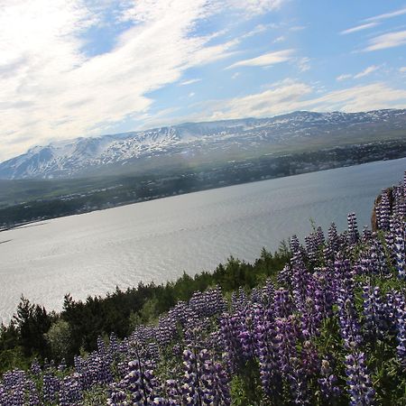 Viking Cottages And Apartments Akureyri Kültér fotó