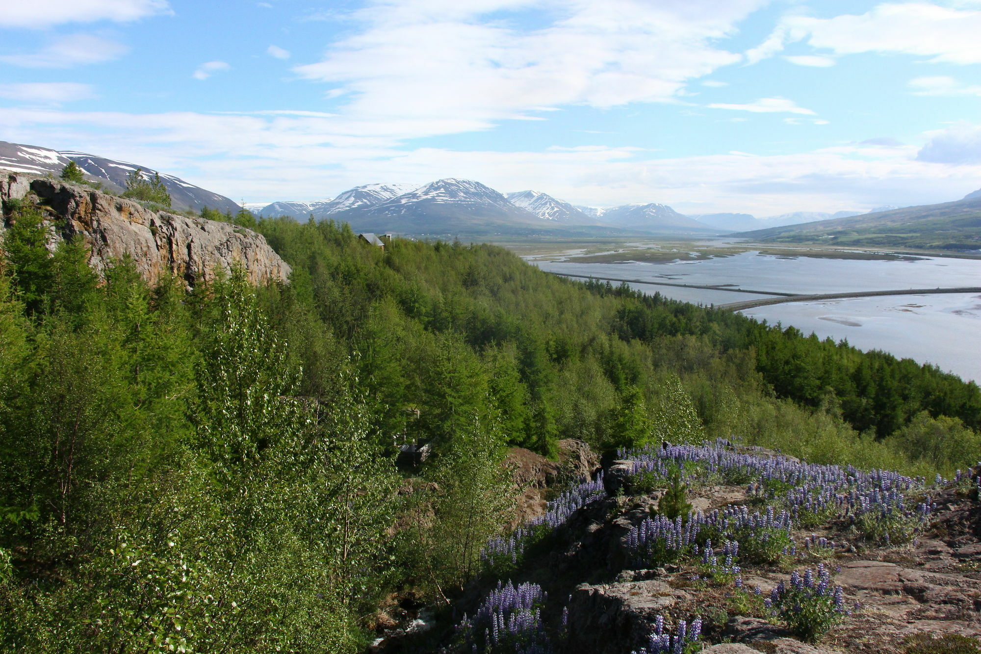 Viking Cottages And Apartments Akureyri Kültér fotó