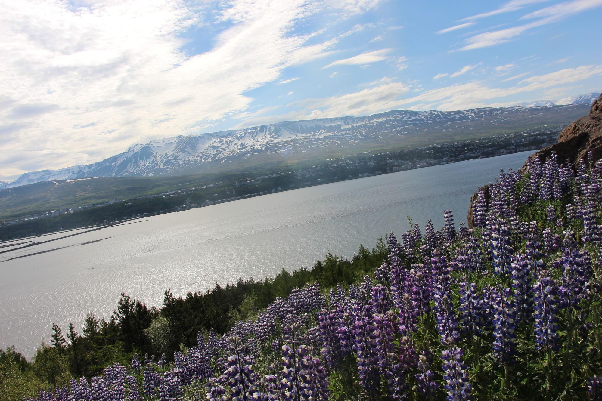 Viking Cottages And Apartments Akureyri Kültér fotó